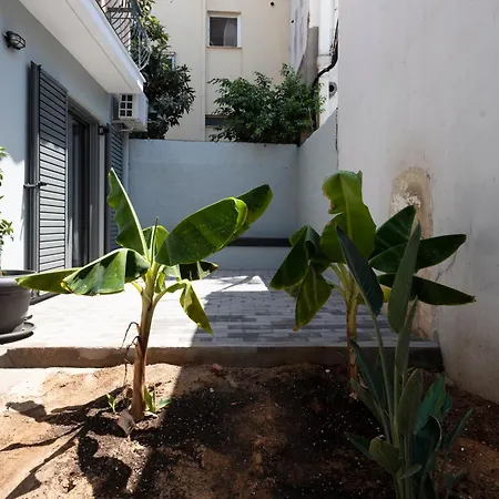 2 Separate Apts Together With Yard And Seperate Entrances Near The Heart Of *